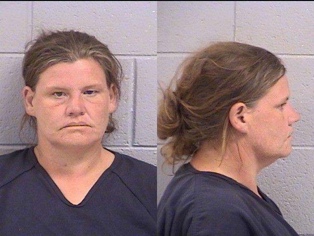 Booking photo of Amanda Fisher