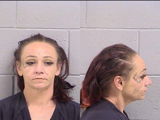 Michelle Rogers booking photo