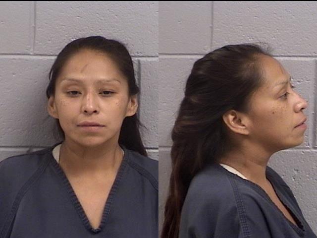 Catherine Harrison booking photo