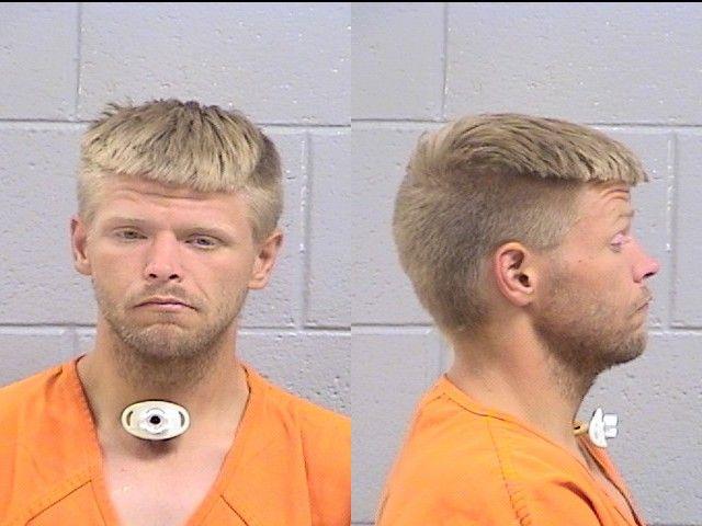 David Johnson booking photo