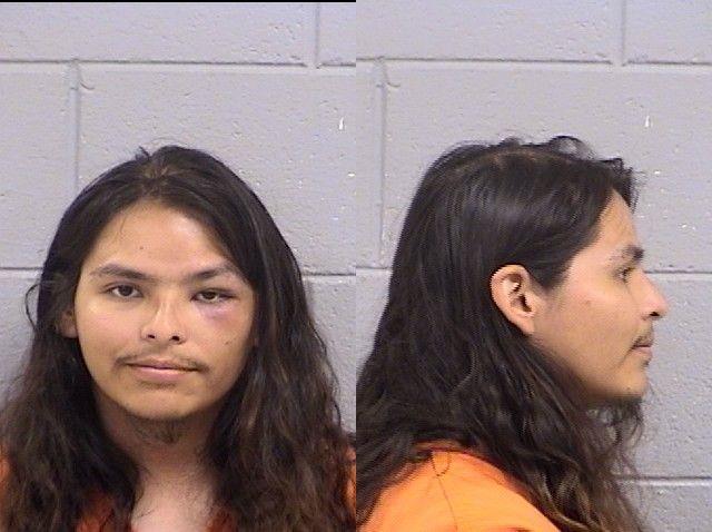Booking photo of Skye Light