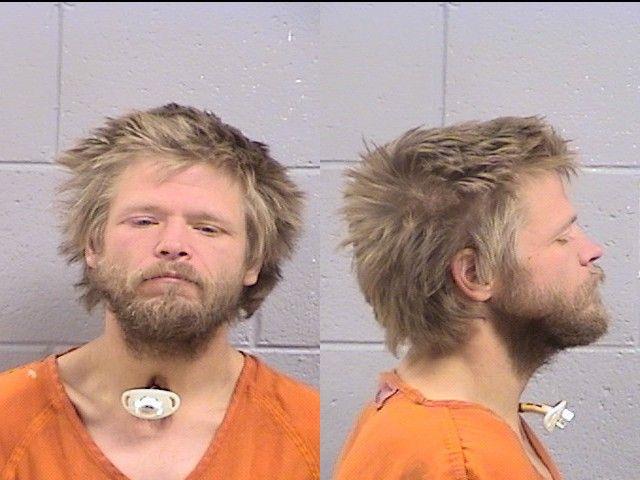 David Johnson booking photo