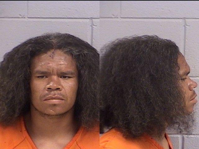 Booking photo of Roman Williams
