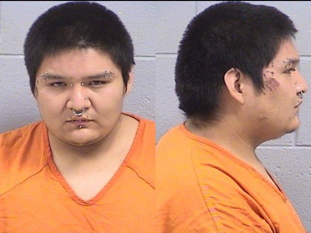 Booking photo of Milo Harvey