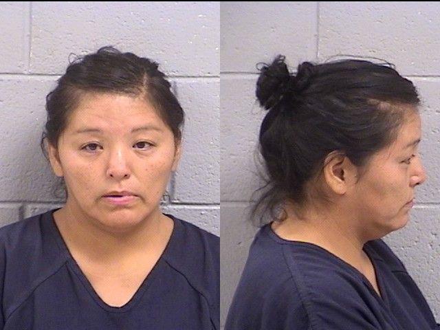 Booking photo of Natasha Lee