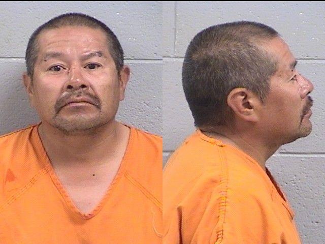 Teryl Johnson booking photo