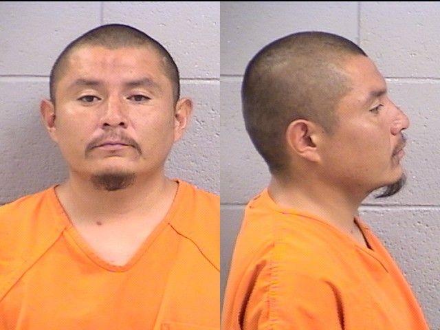 Booking photo of Merle Whitehorse