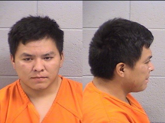 David White booking photo