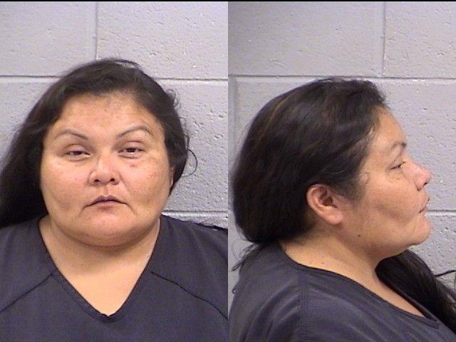 Booking photo of Nicole Toledo