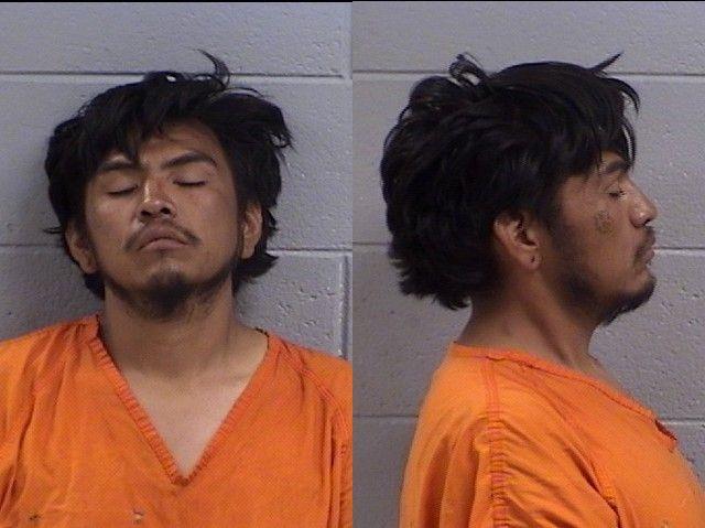 Booking photo of Harley Bizardi