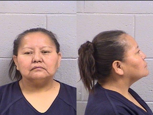 Booking photo of Theresa Bitson