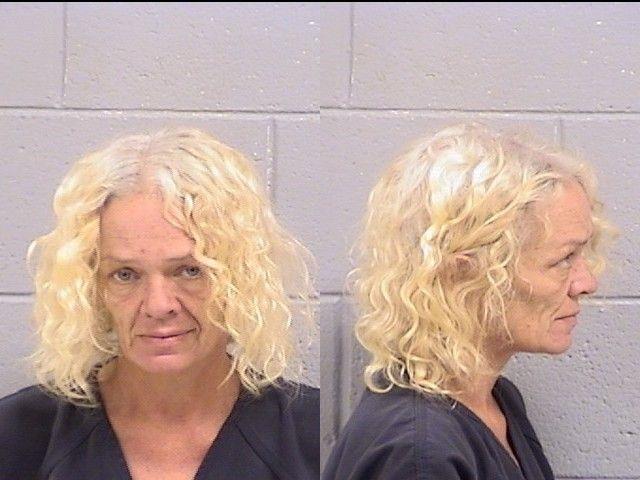 Booking photo of Lisa Giovannini
