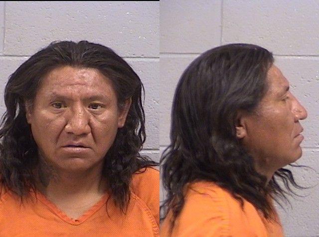 Booking photo of Shawn Nelson