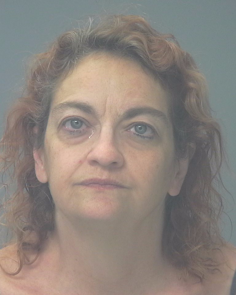 Booking photo of Lisa Johnston