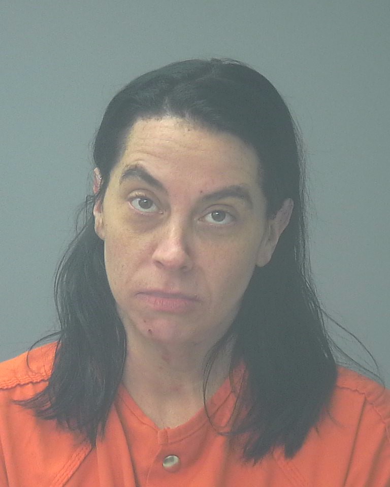 Booking photo of Erica Edwards