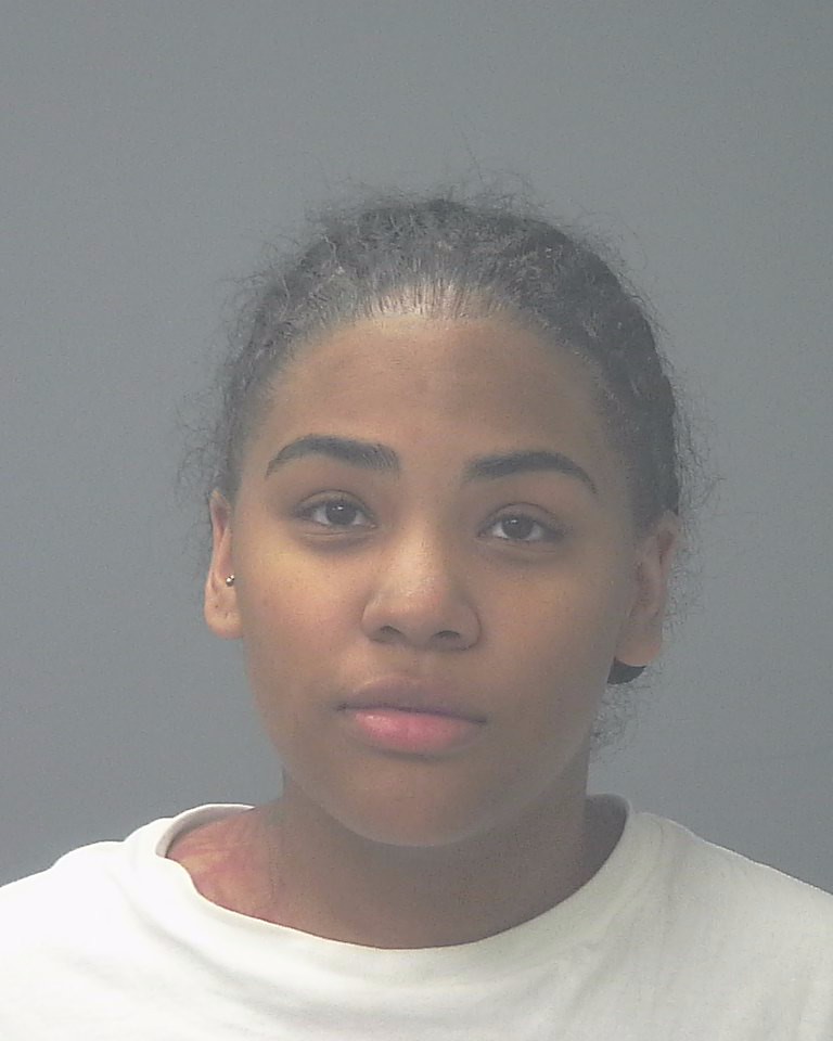 Booking photo of Erica Wolfe