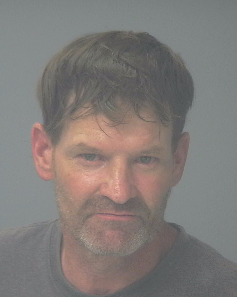 Booking photo of Shea Robinson