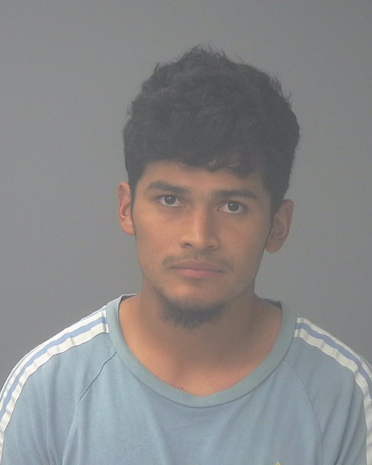 Booking photo of Ever Dias Portillo