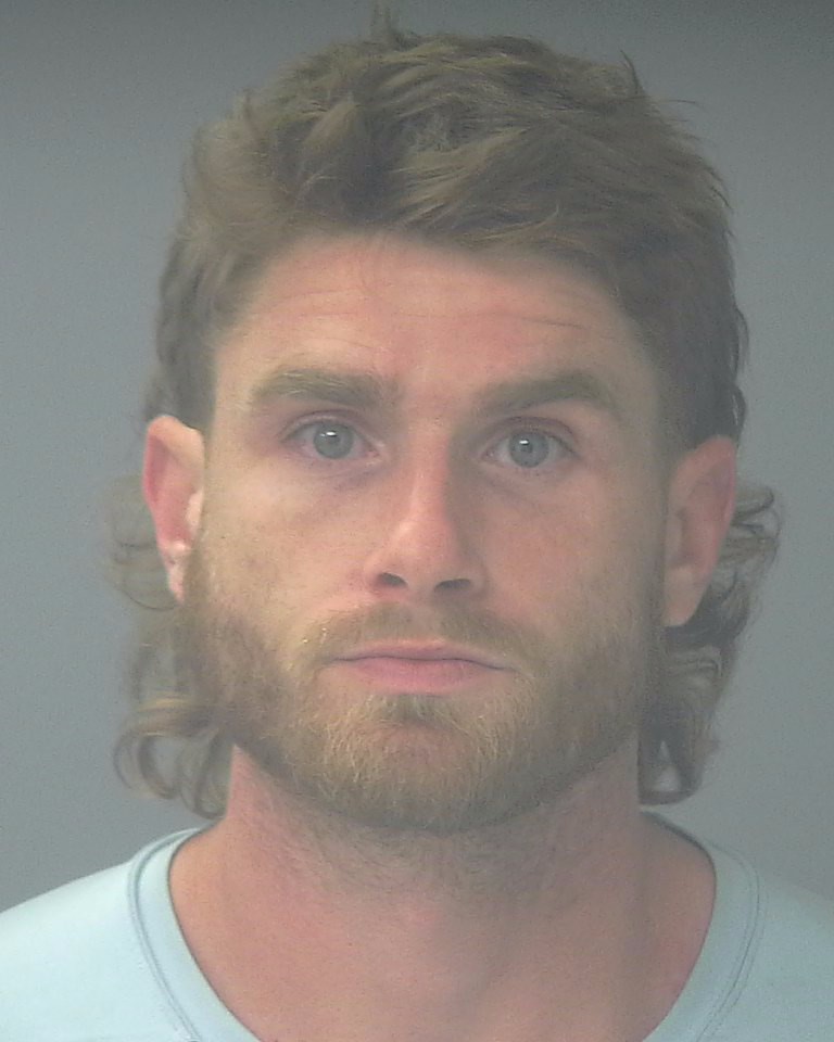 Booking photo of Dylan Watson
