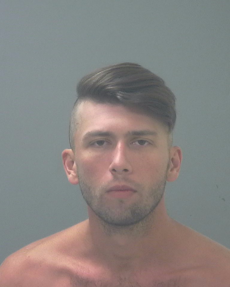 Booking photo of Austin Delfino