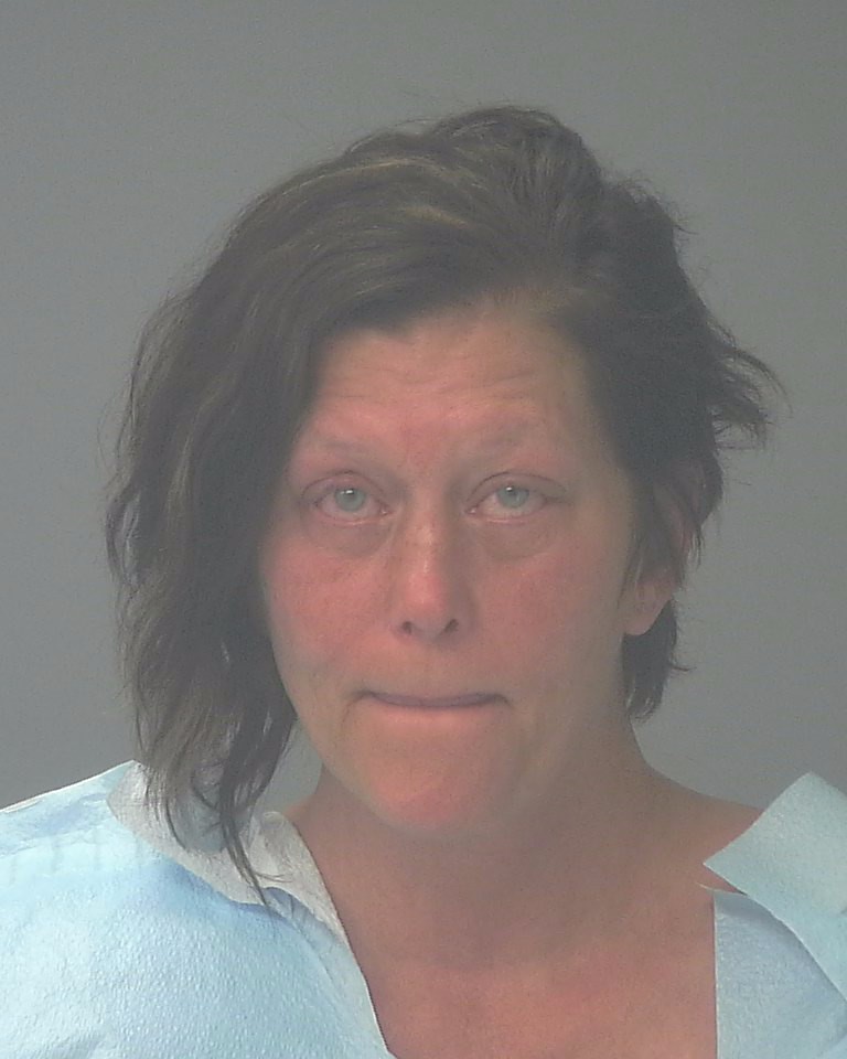 Booking photo of Angela Dohner