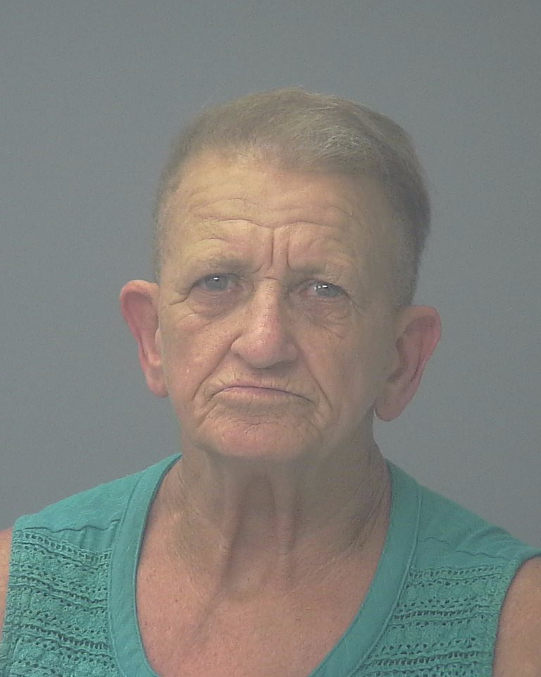 Carol Page booking photo
