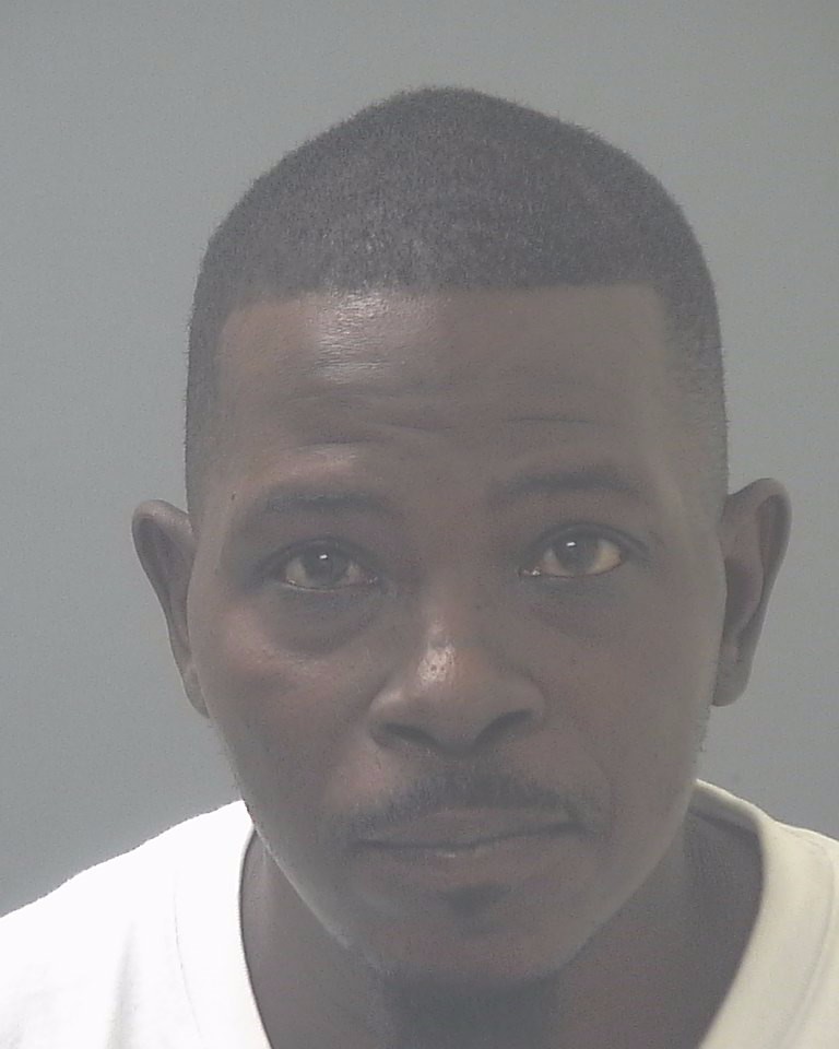 Ronald Johnson booking photo