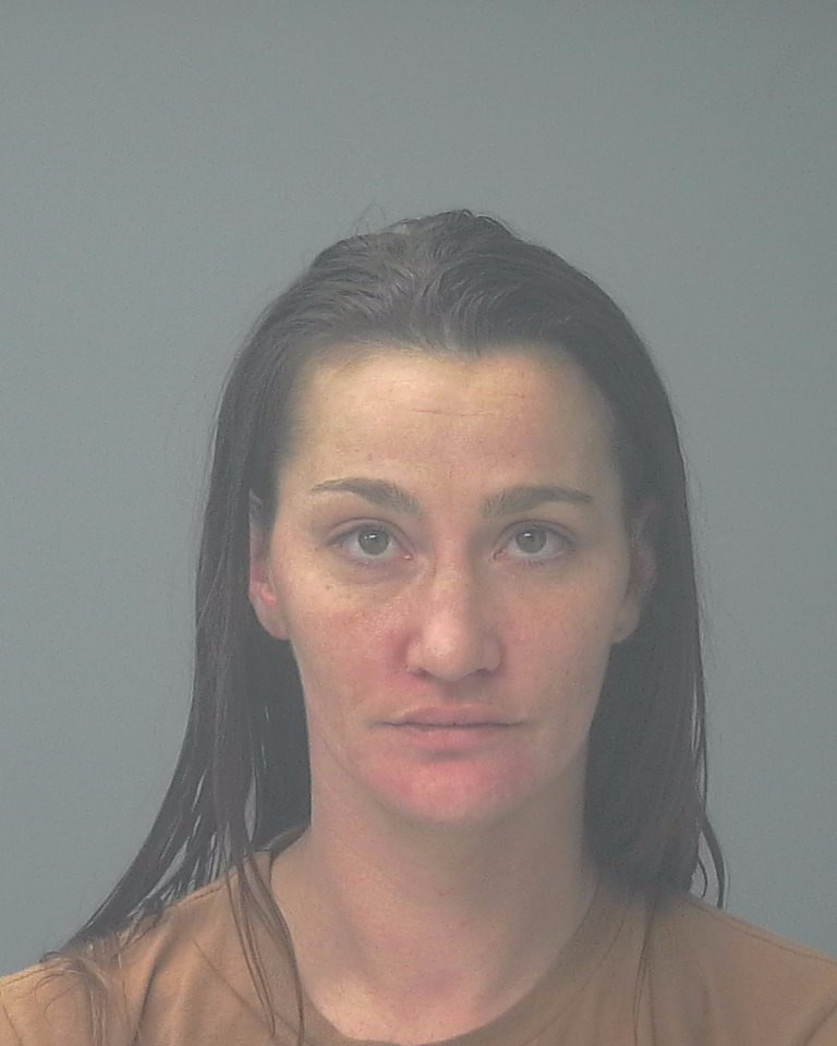 Amanda Gifford booking photo