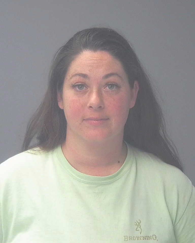 Booking photo of Brooke Ellison