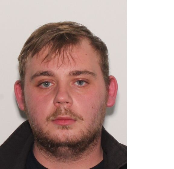 Booking photo of Levi Walters