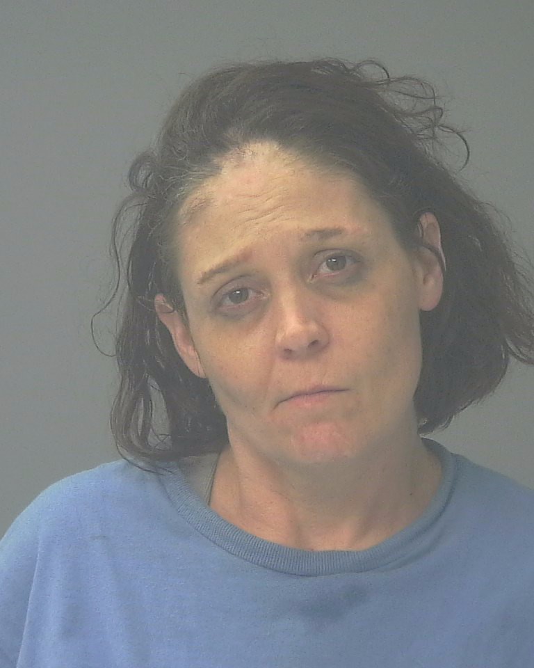Booking photo of Autumn Sullivan