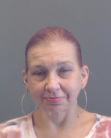 Booking photo of Alicia Wilkins