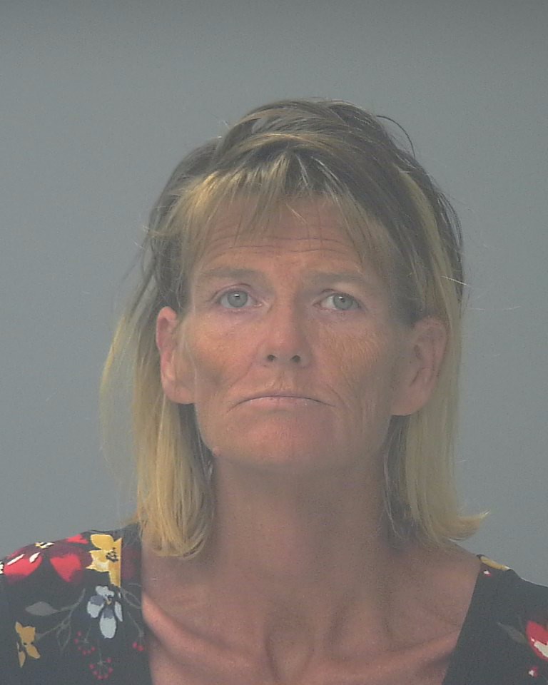 Booking photo of Jessica Parker