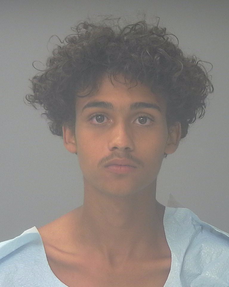 Booking photo of Desi Johnson