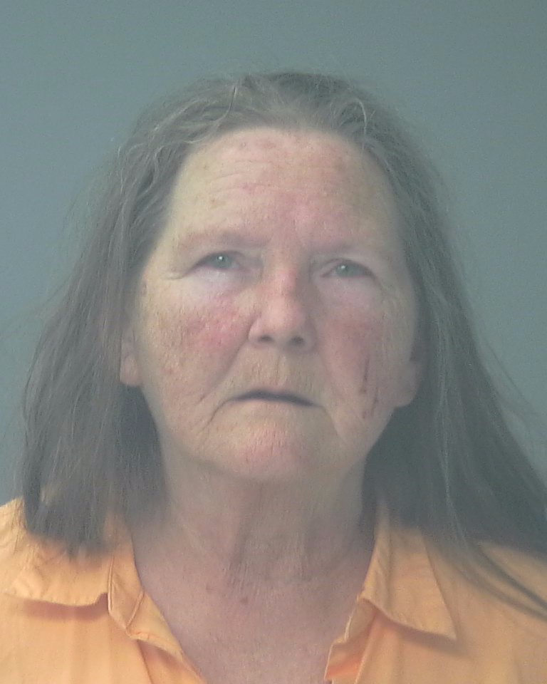 Booking photo of Brenda Leroux