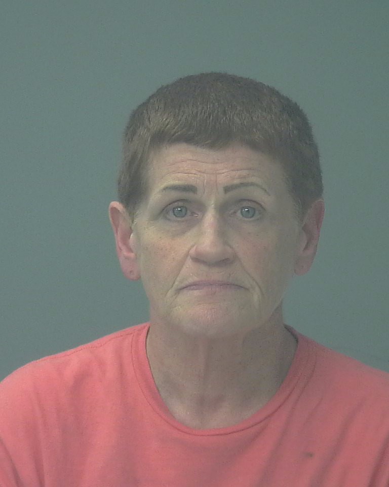Booking photo of Debra Colvin