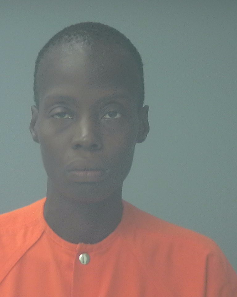 Booking photo of Brittni Robinson