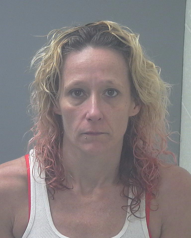 Booking photo of Monica Polk