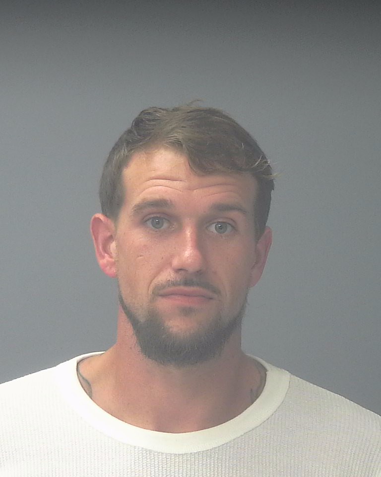 Booking photo of Logan Lewis