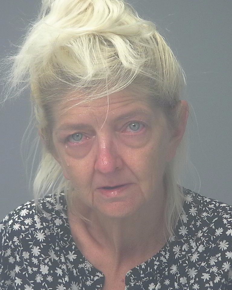 Booking photo of Tammy Oldham