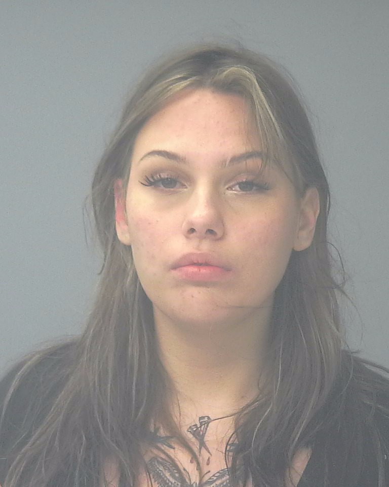 Booking photo of Journi Fox