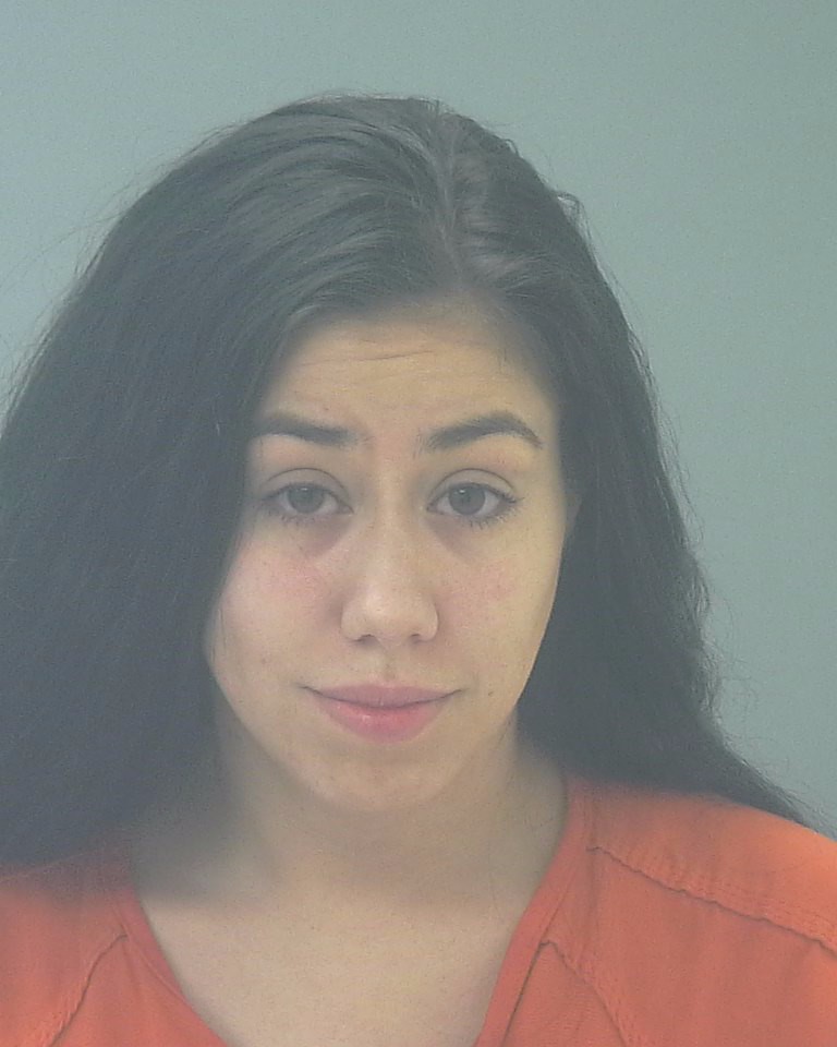 Booking photo of Destanie Heslar