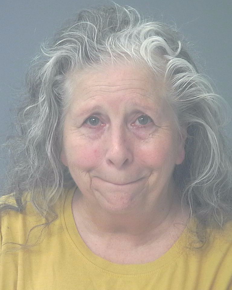 Booking photo of Cheryl Litzinger