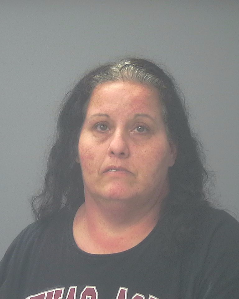 Booking photo of Elizabeth Faulk