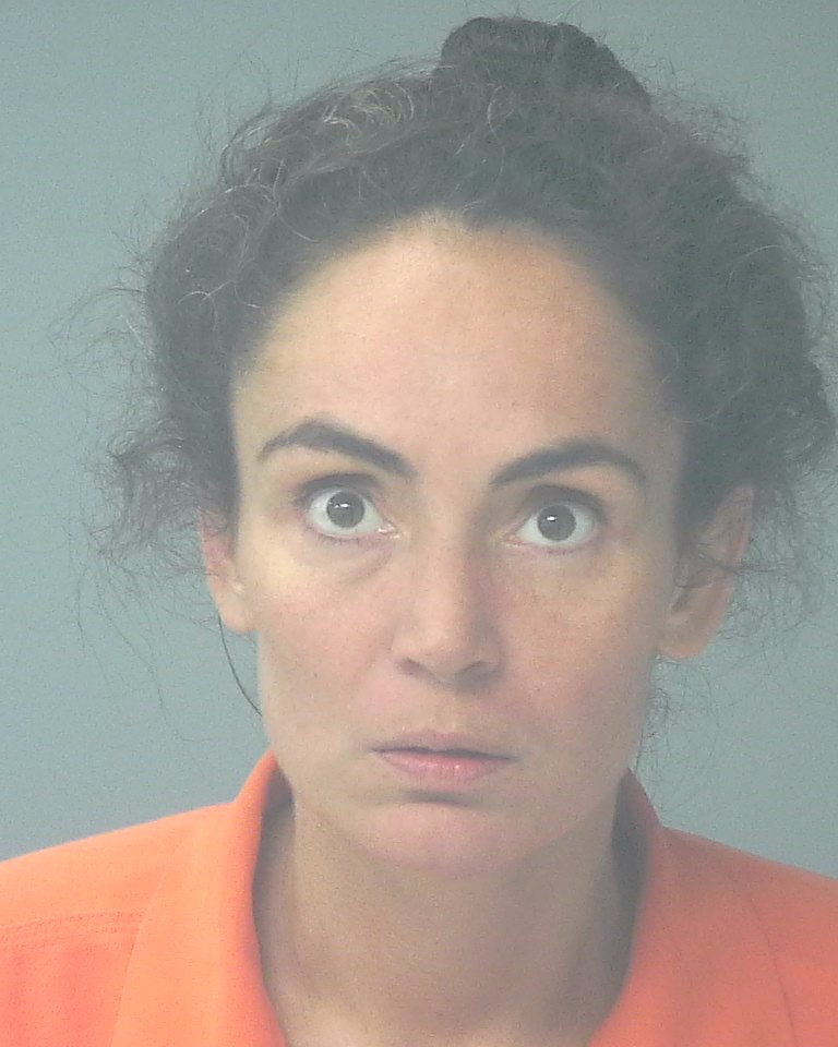 Booking photo of Alicia Toro