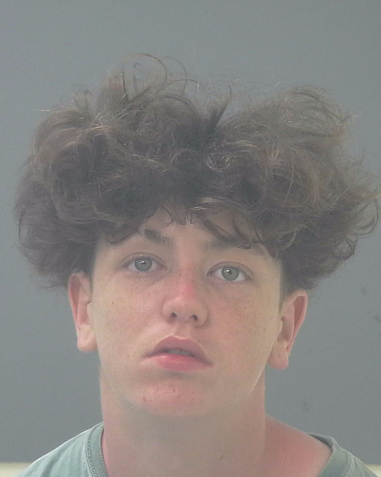 Booking photo of Dalton Will
