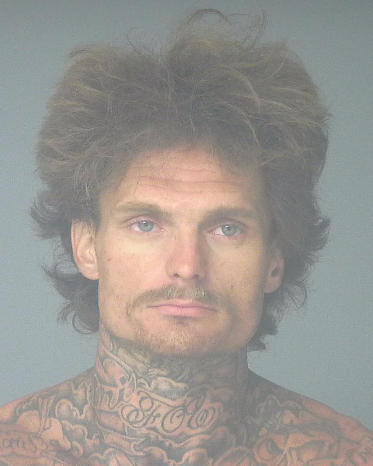 Booking photo of Michael Hall