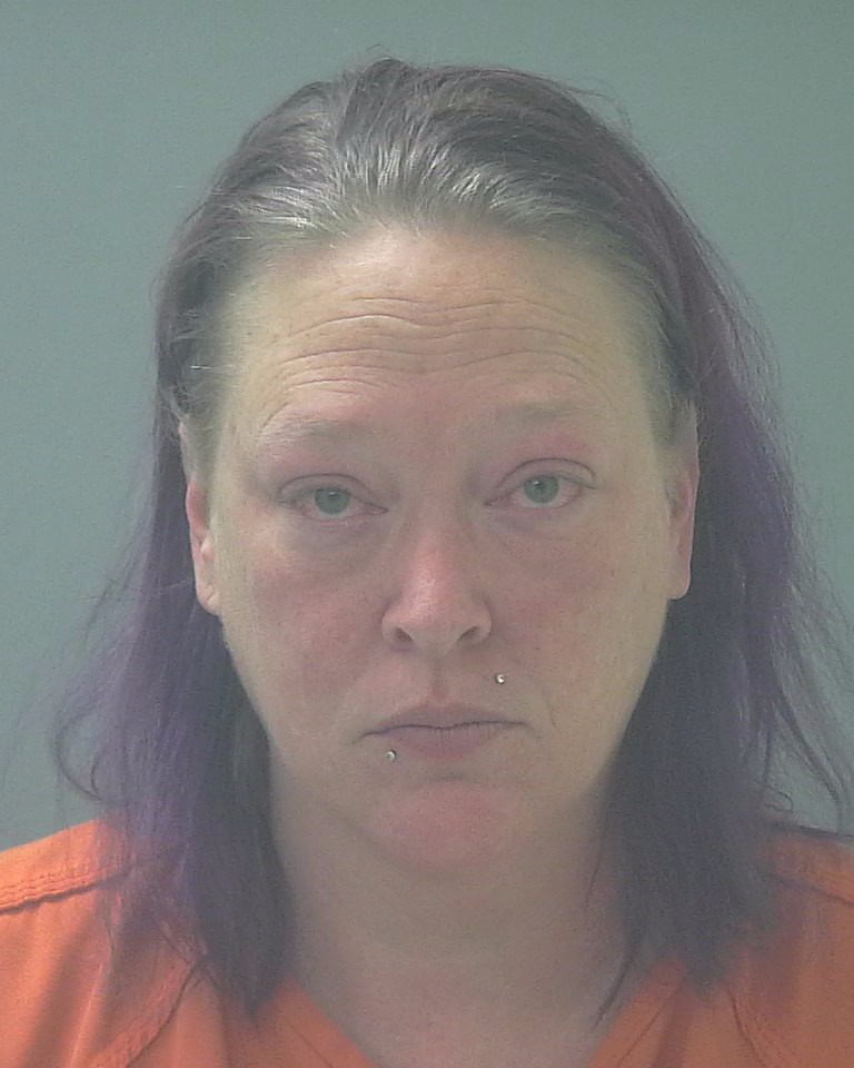 Booking photo of Brandi Saturley