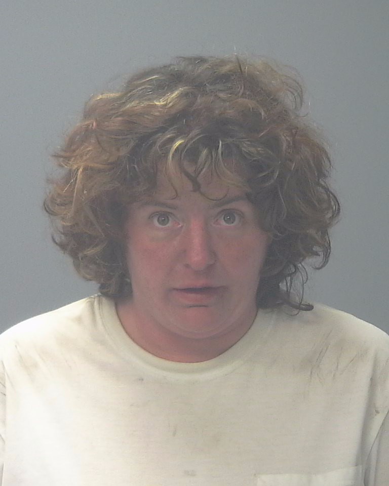 Booking photo of Erica Fillinger