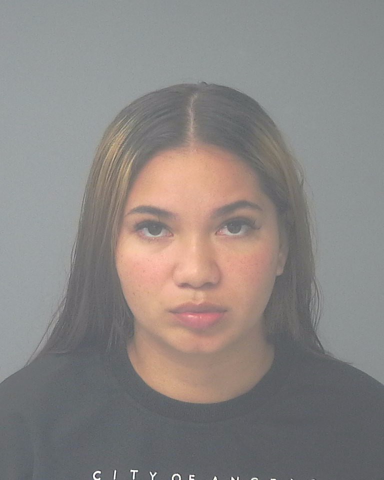 Booking photo of Rebekah Nelson